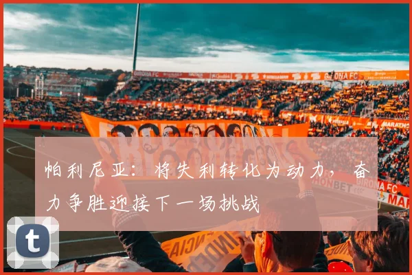 帕利尼亚：将失利转化为动力，奋力争胜迎接下一场挑战